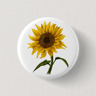 Sonnenblume Sonnenschein Blume Wasserfarben Button