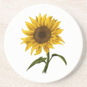 Sonnenblume Sonnenschein Blume Wasserfarben Getränkeuntersetzer
