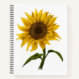 Sonnenblume Sonnenschein Blume Wasserfarben Notizbuch