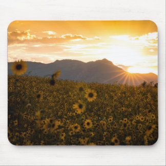 Sonnenblume-Sonnenuntergang Mousepad
