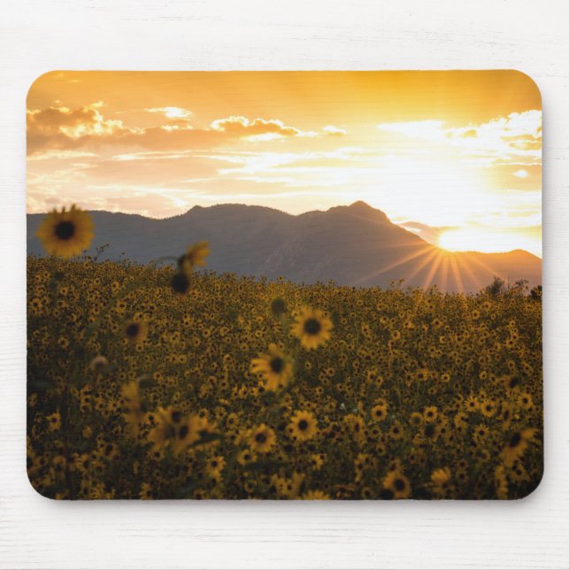 Sonnenblume-Sonnenuntergang Mousepad (Vorne)