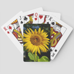 Sonnenblume Spielkarten