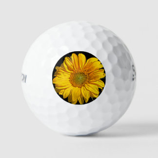 Sonnenblume ssf gbcna golfball
