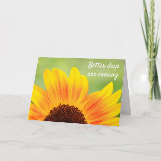 Sonnenblume stärker als Krebs Karte
