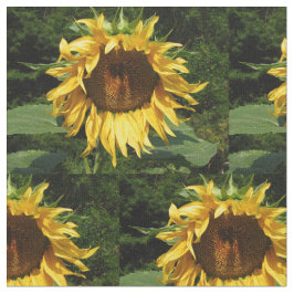 Sonnenblume Stoff