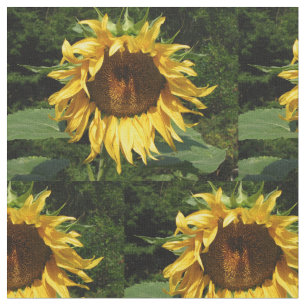 Sonnenblume Stoff