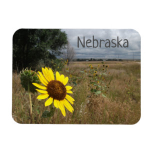 Sonnenblume, Stormy Sky, Western Nebraska Landscha Magnet