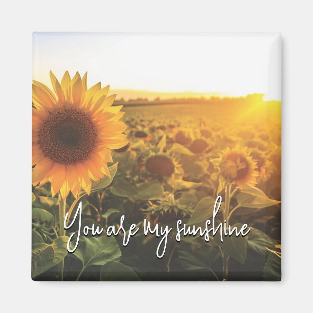 Sonnenblume Sunshine Magnet (Vorne)