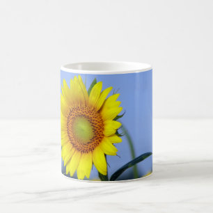 Sonnenblume Tasse