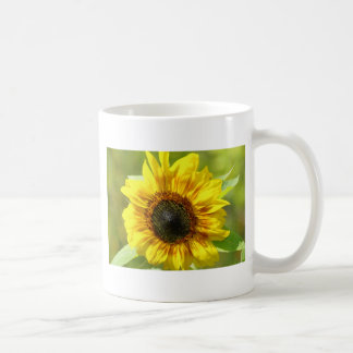 Sonnenblume-Tasse Kaffeetasse