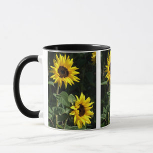 Sonnenblume-Tasse Tasse