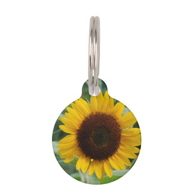 Sonnenblume Tiermarke (Vorderseite)