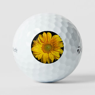 Sonnenblume tmtp5 gbcna golfball