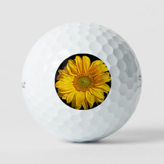 Sonnenblume tpv1 gbcna golfball