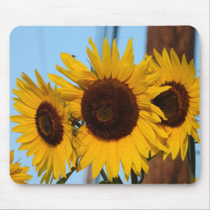 Sonnenblume-Trio Mousepad