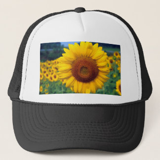 Sonnenblume Truckerkappe