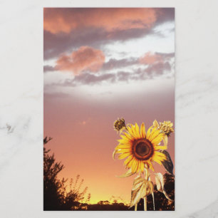 SONNENBLUME UND PINK SOMMERSONNE BRIEFPAPIER