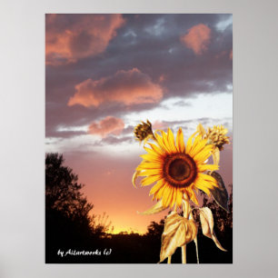 SONNENBLUME UND PINK SOMMERSONNE POSTER
