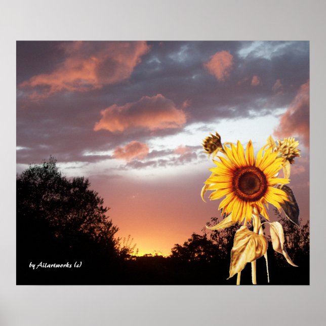 SONNENBLUME UND PINK SOMMERSONNE POSTER (Vorne)