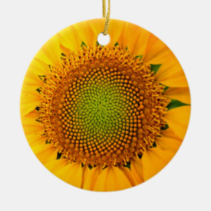Sonnenblume und Samen, Spirale, Goldener Schnitt Keramik Ornament