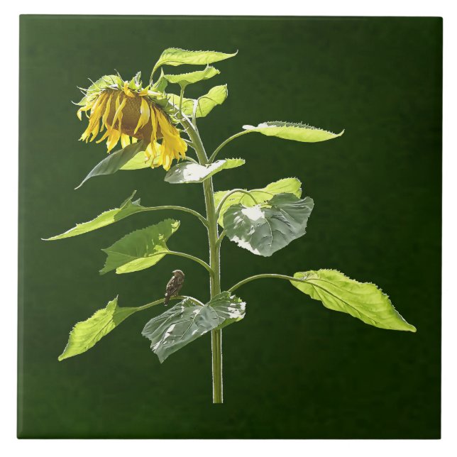 Sonnenblume und Spargel Fliese (Vorderseite)