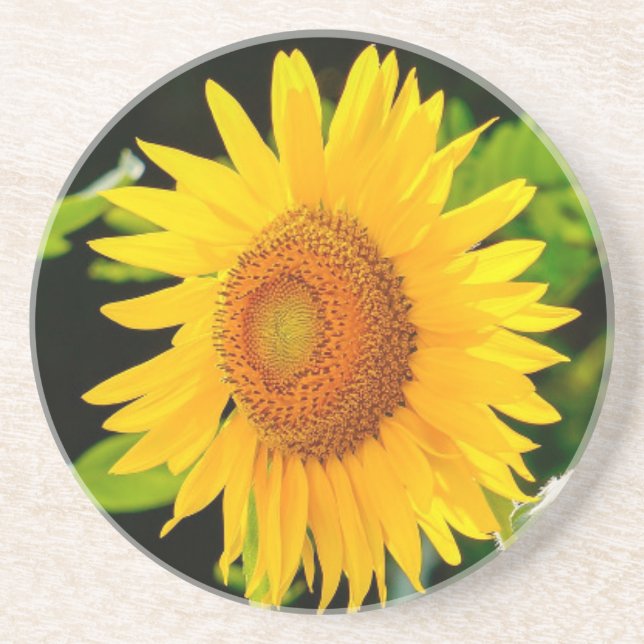 Sonnenblume Untersetzer (Vorne)
