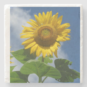 Sonnenblume Untersetzer