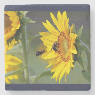 Sonnenblume Untersetzer