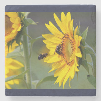 Sonnenblume Untersetzer