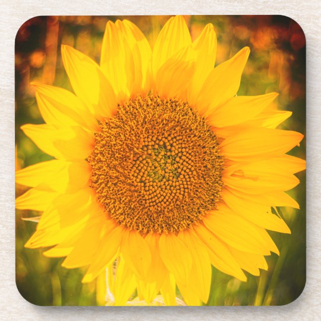 "Sonnenblume" Untersetzer aus hartem Kunststoff (Vorderseite)
