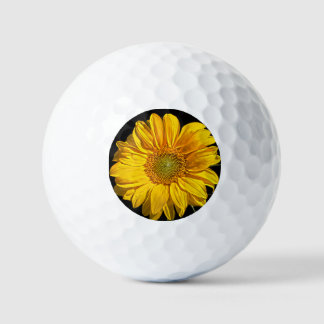 Sonnenblume va gbcna golfball