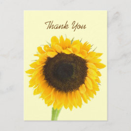 Sonnenblume Vielen Dank Postcard Postkarte
