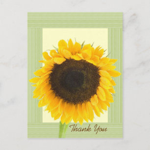 Sonnenblume Vielen Dank Stripe Border Postkarte