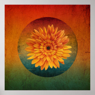Sonnenblume Vintag blühend Poster