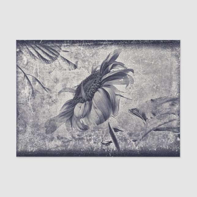 Sonnenblume Vintag Schwarz-Weiß-Antike Textur Seidenpapier (Vorderseite)