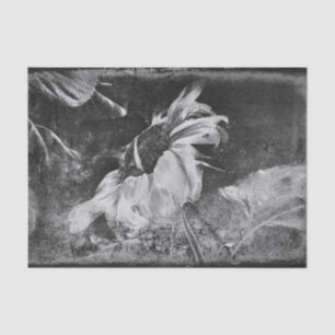 Sonnenblume Vintage Antik Schwarz-Weiß-Textur Seidenpapier