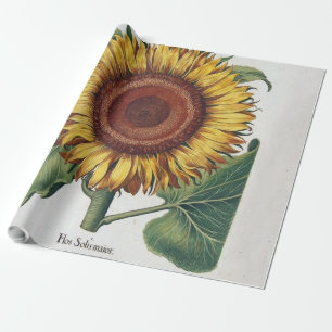 Sonnenblume Vintage Damast Blumenkunst Geschenkpapier