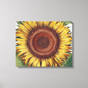Sonnenblume Vintage Damast Blumenkunst Leinwanddruck