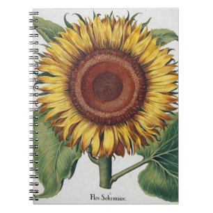 Sonnenblume Vintage Damast Blumenkunst Notizblock