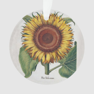 Sonnenblume Vintage Damast Blumenkunst Ornament