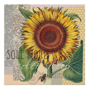 Sonnenblume Vintage Damast Blumenkunst Poster