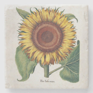 Sonnenblume Vintage Damast Blumenkunst Steinuntersetzer
