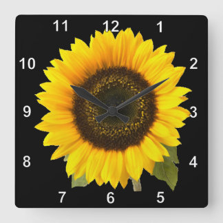 Sonnenblume-Wanduhr Quadratische Wanduhr