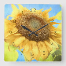 Sonnenblume Wasserfarbe Land Gelb Blau Rustikal