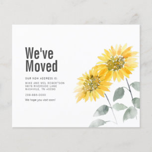 Sonnenblume Wir haben die Adressenverschiebung Ank Flyer