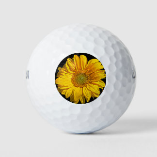 Sonnenblume wu gbcna golfball