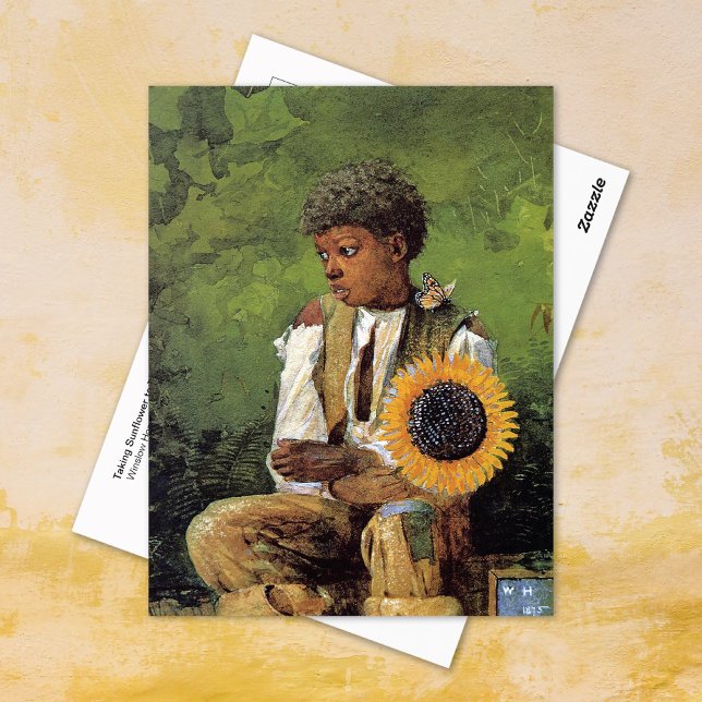 Sonnenblume zu Lehrer Winslow Homer Postkarte (Von Creator hochgeladen)