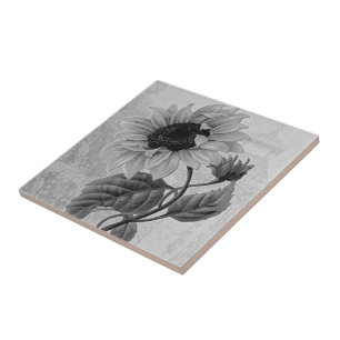 Sonnenblumehelianthus-Monochrom Fliese