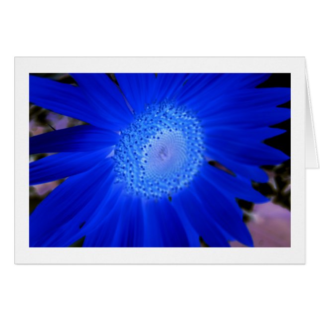 Sonnenblumen (Vorderseite (Horizontal))