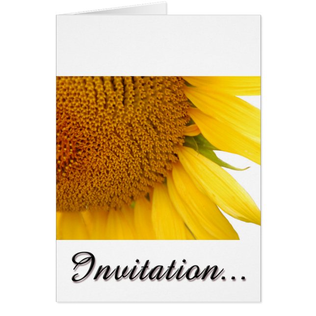 Sonnenblumen (Vorne)
